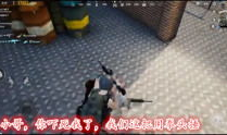 搞鸡视频,揭秘现代年轻人的趣味生活