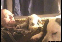 交性视频,揭秘互动娱乐新趋势