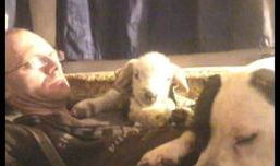 交性视频,揭秘互动娱乐新趋势