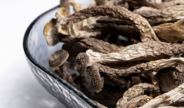 鹿茸菇,滋补养生，天然珍品之选