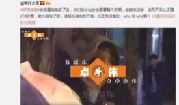 她也啪在线视频,一场激情四溢的在线视频盛宴