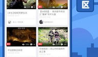 5x社区在线视频,沉浸式在线视频体验之旅